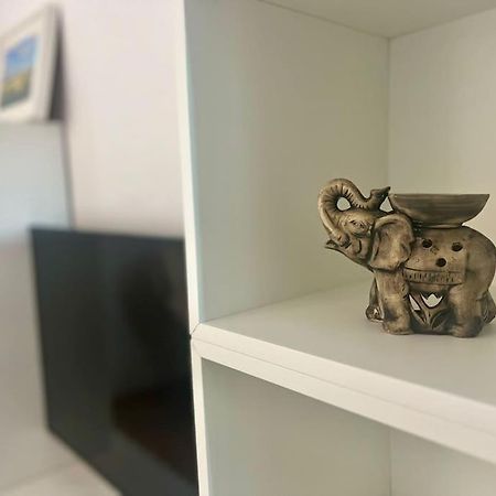 Cipariu Corner Leilighet Cluj-Napoca Eksteriør bilde