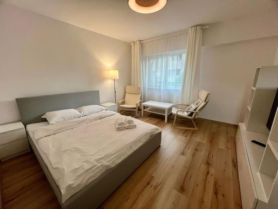 Cipariu Corner Leilighet Cluj-Napoca Eksteriør bilde